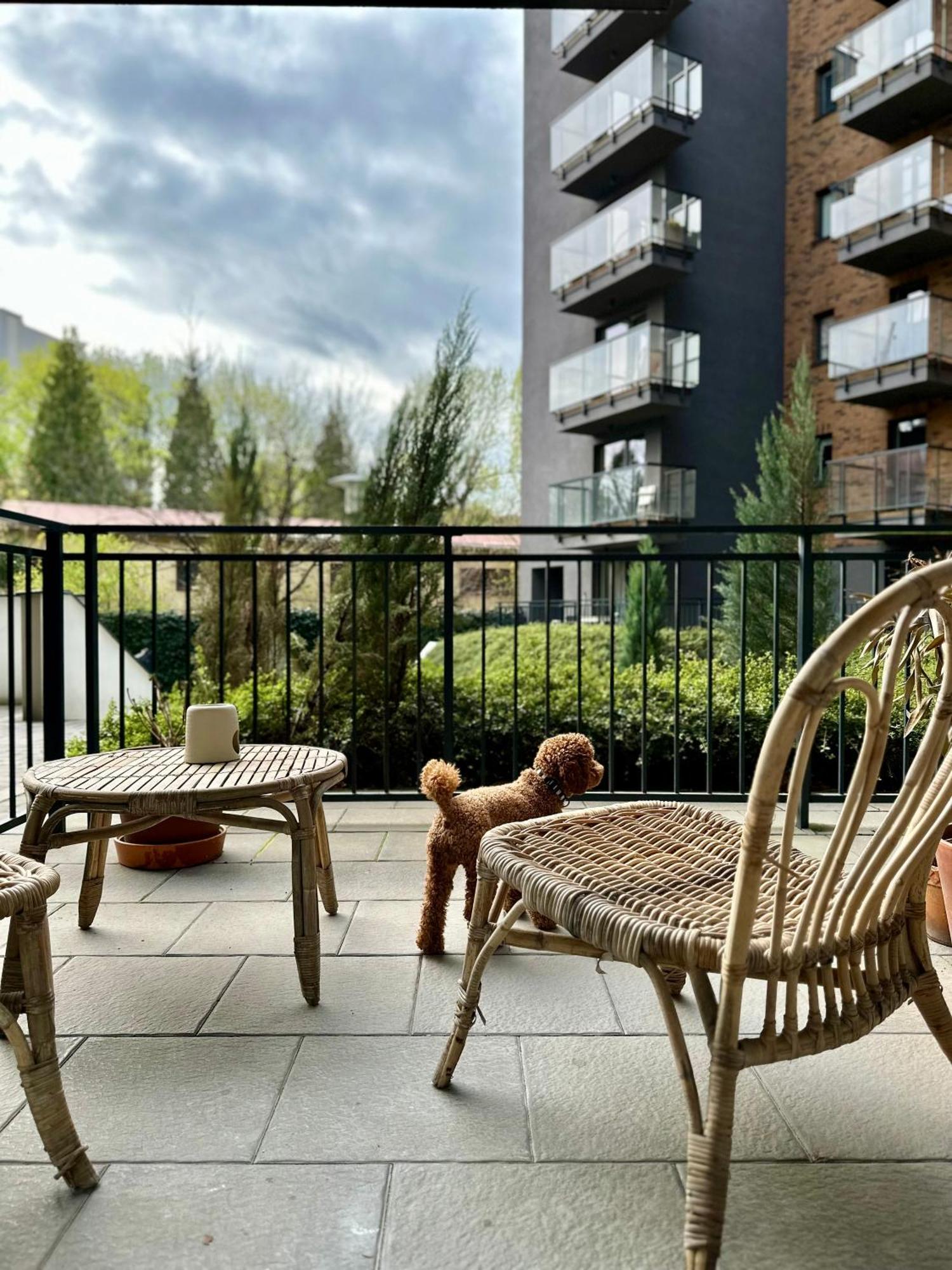 Pure Apartment N°1 Wroclaw Luaran gambar